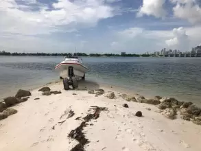 Thumbnail von Ocean Craft Marine 7.1 M Amphibious