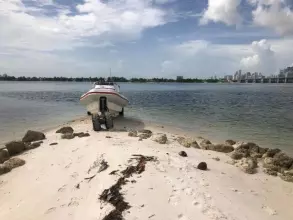 Thumbnail von Ocean Craft Marine 7.1 M Amphibious