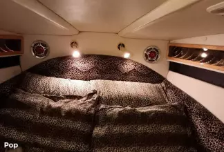 Thumbnail von Black Thunder Offshore 460 Ec