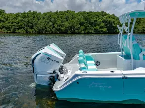 Thumbnail von Streamline 26