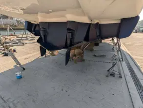 Thumbnail von Sealine F43