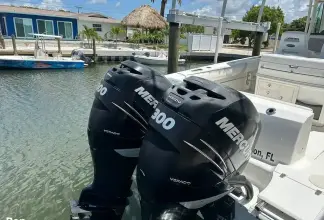 Thumbnail von Boston Whaler 320 Outrage