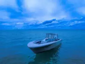 Thumbnail von Streamline 45