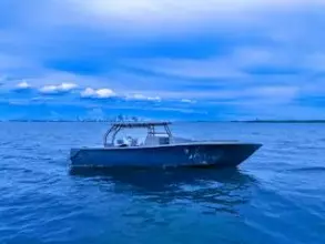 Thumbnail von Streamline 45