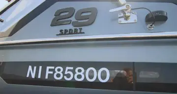 Thumbnail von Goldfish Sport 29 DORIS VIII