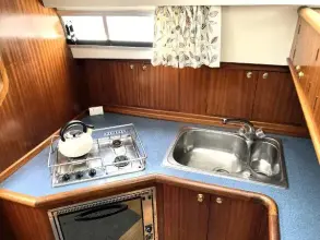 Thumbnail von Broom 35 Cl Ex 'Saturna'