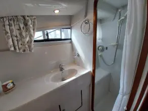 Thumbnail von Broom 35 Cl Ex 'Saturna'