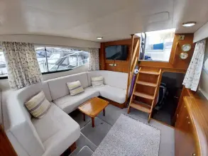 Thumbnail von Broom 35 Cl Ex 'Saturna'