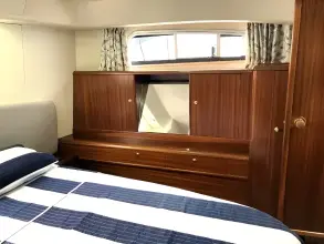 Thumbnail von Broom 35 Cl Ex 'Saturna'