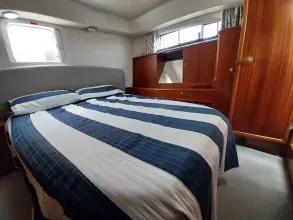 Thumbnail von Broom 35 Cl Ex 'Saturna'