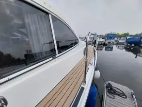 Thumbnail von Broom 35 Cl Ex 'Saturna'