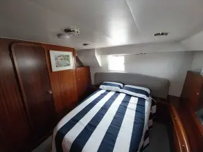 Thumbnail von Broom 35 Cl Ex 'Saturna'