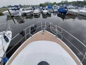 Thumbnail von Broom 35 Cl Ex 'Saturna'