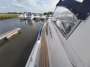 Thumbnail von Broom 35 Cl Ex 'Saturna'