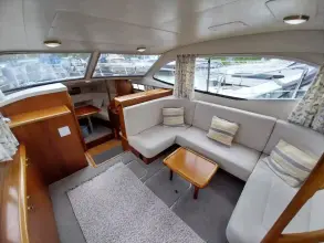 Thumbnail von Broom 35 Cl Ex 'Saturna'