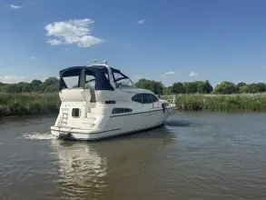 Thumbnail von Broom 35 Cl Ex 'Saturna'