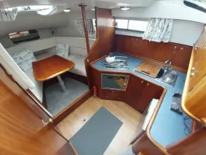 Thumbnail von Broom 35 Cl Ex 'Saturna'