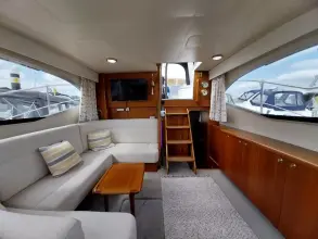 Thumbnail von Broom 35 Cl Ex 'Saturna'