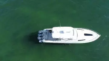 Thumbnail von Intrepid 400 Cuddy