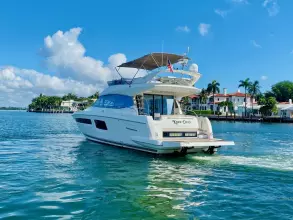 Thumbnail von Prestige 500