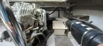 Thumbnail von Mikelson 43 Sportfisher