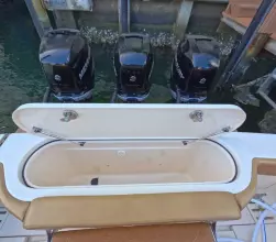 Thumbnail von Scout 380 LXF