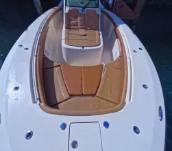 Thumbnail von Scout 380 LXF