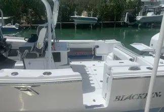 Thumbnail von Blackfin 302 CC