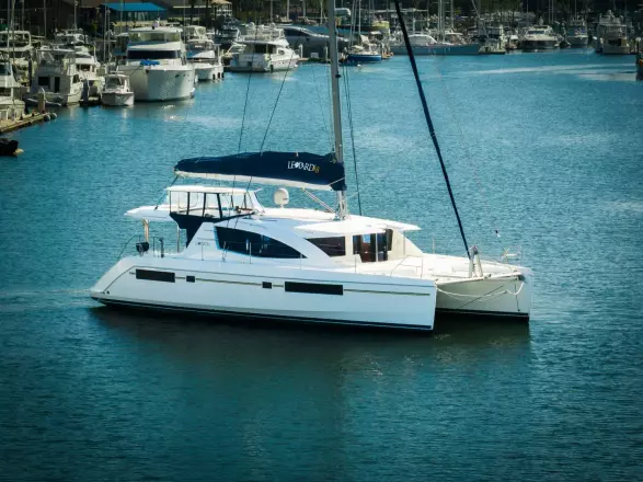 Leopard 48 WIDTH GRATITUDE