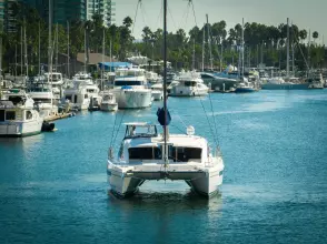 Thumbnail von Leopard 48 WIDTH GRATITUDE