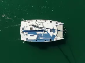 Thumbnail von Leopard 48 WIDTH GRATITUDE