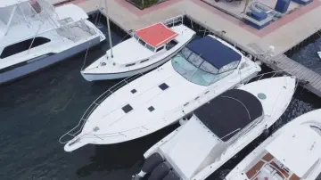 Thumbnail von Sea Ray 440 Sundancer