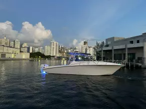 Thumbnail von Fountain 33 Sportfish Cruiser