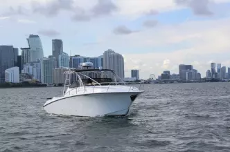 Thumbnail von Fountain 33 Sportfish Cruiser