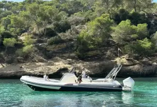 Thumbnail von Bsc 100 Gt