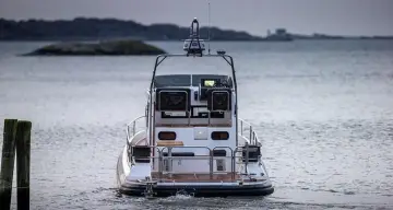 Thumbnail von Paragon 31 Flybridge