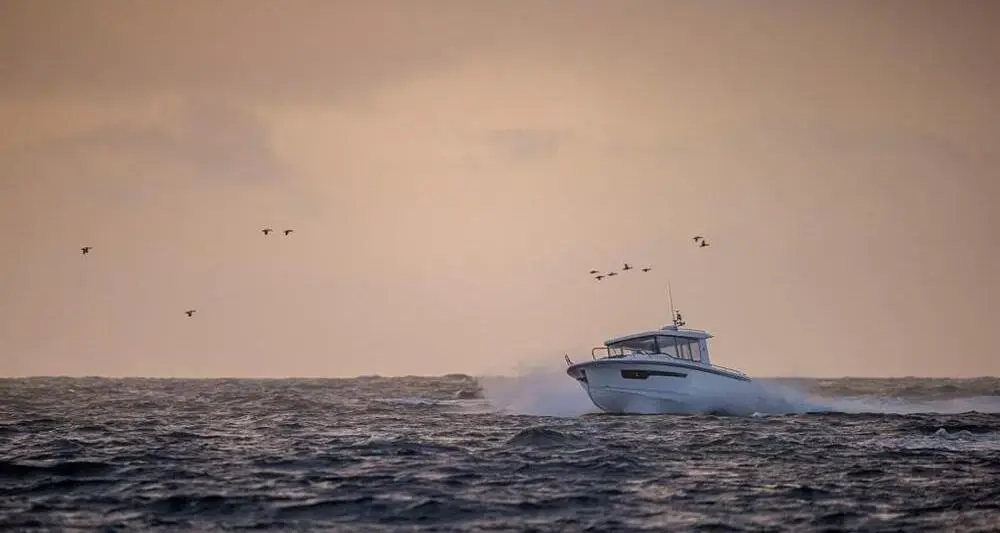 Thumbnail von Nimbus C11