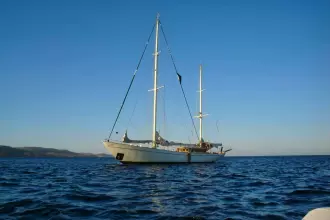 Thumbnail von Koser & Meyer Custom TAMORY