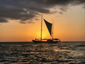 Thumbnail von Koser & Meyer Custom TAMORY