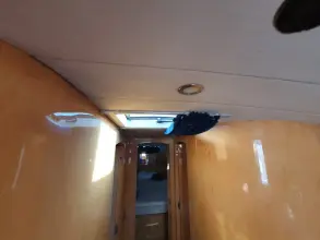 Thumbnail von Colombo Cambridge 42 Rare Bird