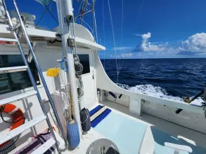 Thumbnail von Wilbur 38 PUFFIAN