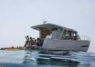 Thumbnail von Greenline 39