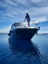 Thumbnail von Viper 303