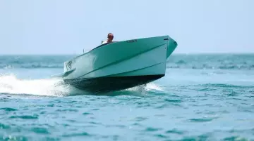 Thumbnail von Say 29