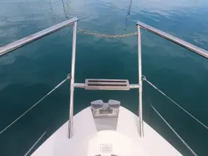 Thumbnail von Sealine T60 Narval II