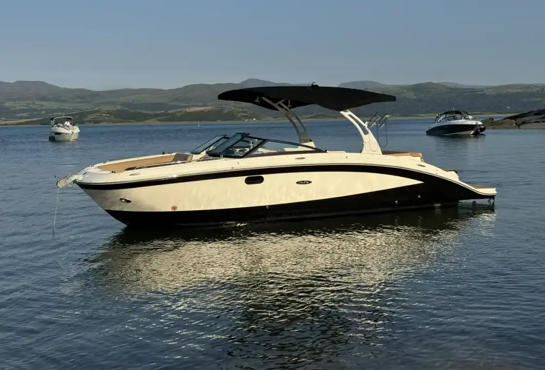 Sea Ray SDX 270