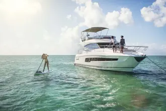 Thumbnail von Prestige 460