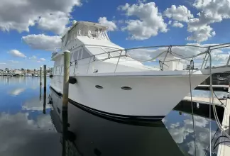 Thumbnail von Viking 63 Motor Yacht The Jobsite