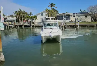 Thumbnail von World Cat 320 EC K DEE