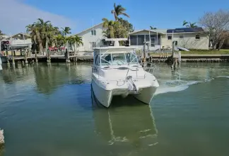 Thumbnail von World Cat 320 EC K DEE